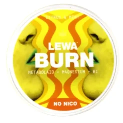 LEWA Burn Citrus & Mint Nikotinfritt snus 10-pack