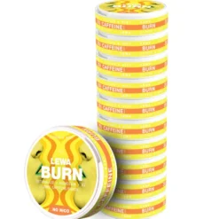 LEWA Burn Citrus & Mint Nikotinfritt snus 10-pack