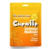 Rawnice Mushroom Cordyceps 60 stycken